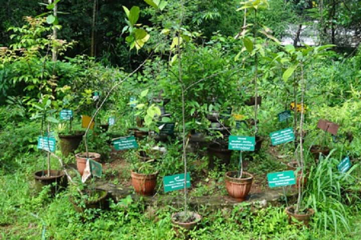 Gracious College of Pharmacy campus in Balaghat, Madhya Pradesh, India — photo 1
