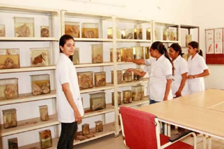 Apollo College of Physiotherapy campus in Anjora, Chhattisgarh, India — photo 3