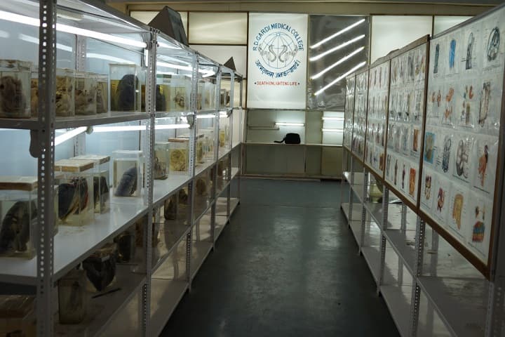RDGMC Ujjain campus in Ujjain, Madhya Pradesh, India — photo 2