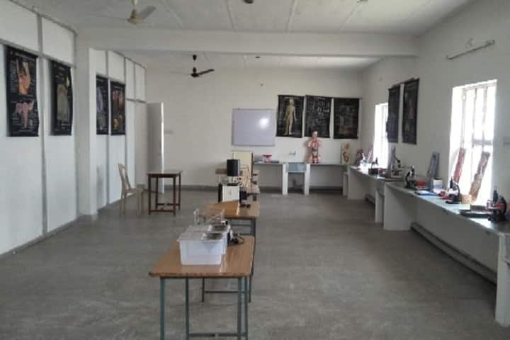 Bombay Institute of Pharmacy campus in Hanumangarh, Rajasthan, India — photo 2