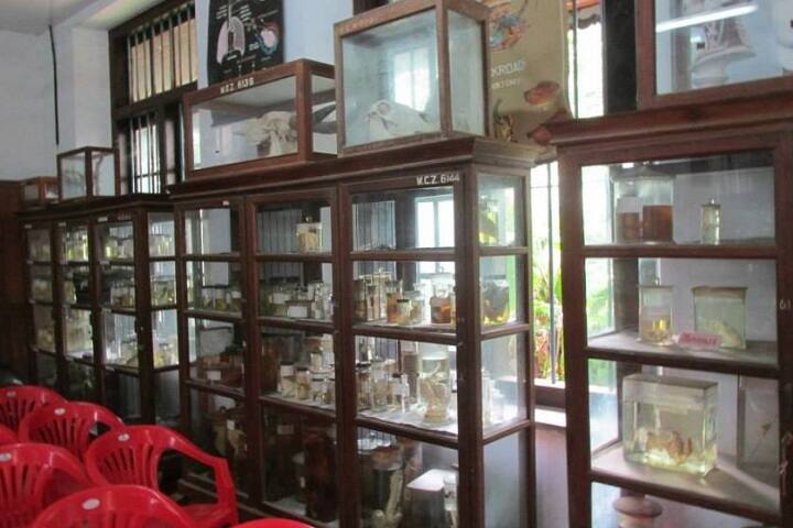 Government College for Women campus in Thiruvananthapuram, Kerala, India — photo 5