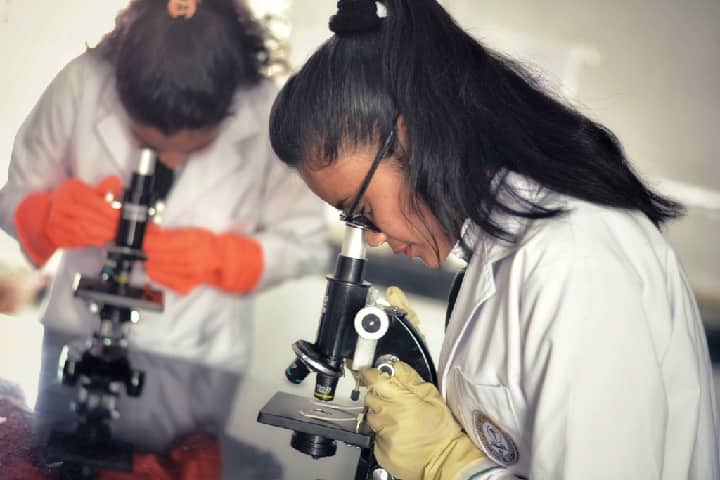 NETES Institute of Pharmaceutical Science campus in Kamrup, Assam, India — photo 2