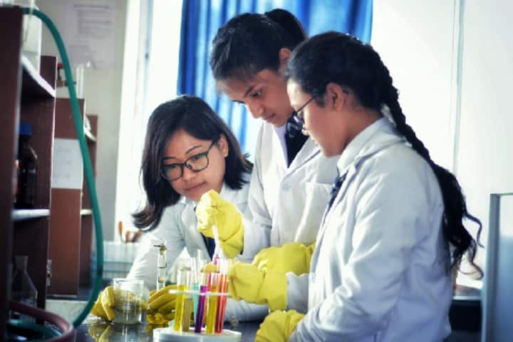 NETES Institute of Pharmaceutical Science campus in Kamrup, Assam, India — photo 3