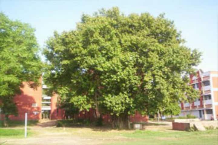 KNIPSS Sultanpur campus in Sultanpur, Uttar Pradesh, India — photo 6