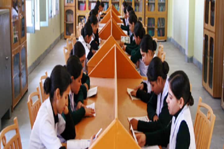 Shaheed Udham Singh School of Nursing campus in Ratia, Haryana, India — photo 6
