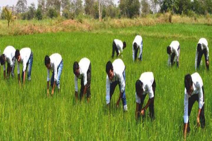 Bharti College of Agricultural Engineering campus in Durg, Chhattisgarh, India — photo 2