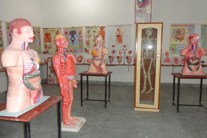 Rajasthan College of Nursing campus in Jhunjhunu, Rajasthan, India — photo 5