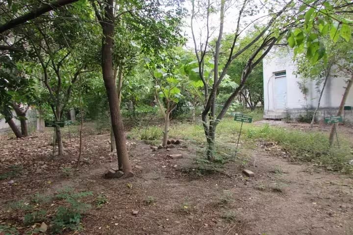 BK Modi Government Pharmacy College campus in Rajkot, Gujarat, India — photo 3