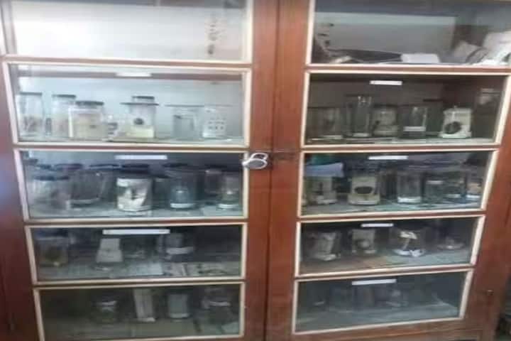 Andhra Mahila Sabha Arts and Science College for Women campus in Hyderabad, Telangana, India — photo 2