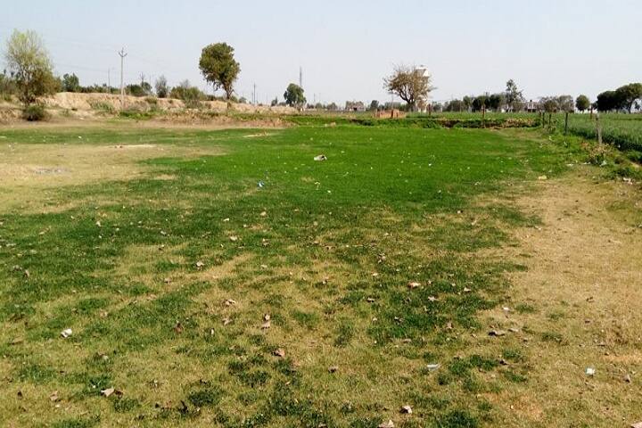 College of Pharmacy campus in Firozabad, Uttar Pradesh, India — photo 3