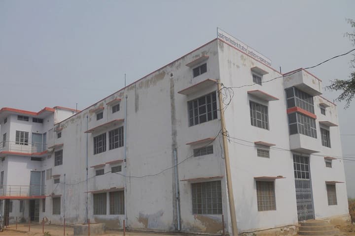Gramothan Vidhyapeeth PG Mahila Mahavidhyalya campus in Laxmangarh, Rajasthan, India — photo 1