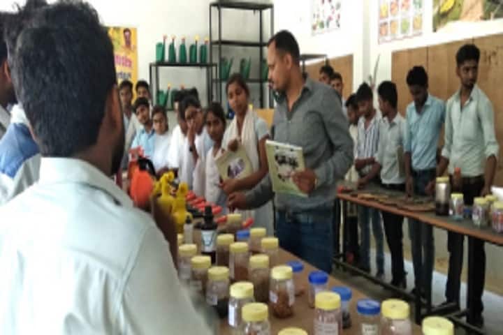 Panchsheel Mahavidyalaya campus in Raebareli, Uttar Pradesh, India — photo 3