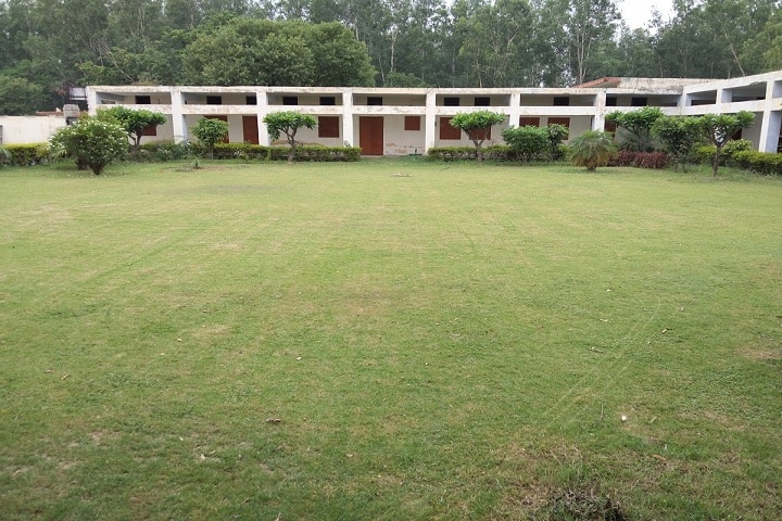 Maharana Pratap National College campus in Mullana, Haryana, India — photo 5