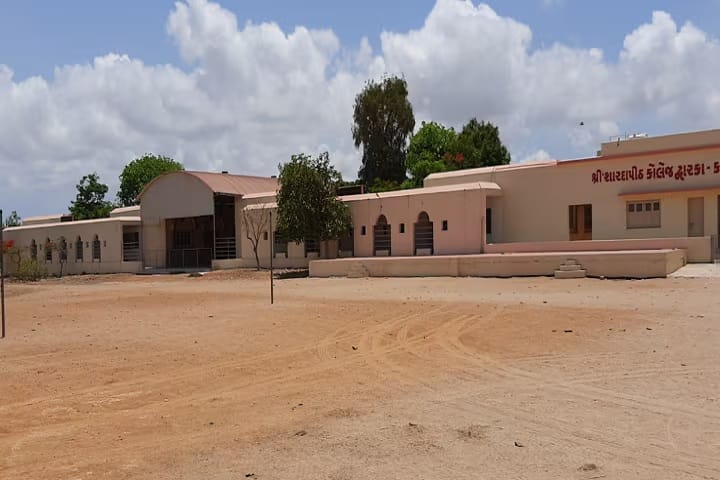 Shree Shardapeeth Arts campus in Dwarka, Gujarat, India — photo 2