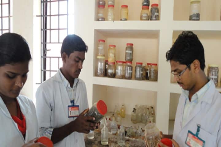 Adhiparasakthi College of Pharmacy campus in Kesavarayanpettai, Tamil Nadu, India — photo 3