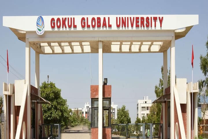 Gokul Global University campus in Siddhpur, Gujarat, India — photo 1