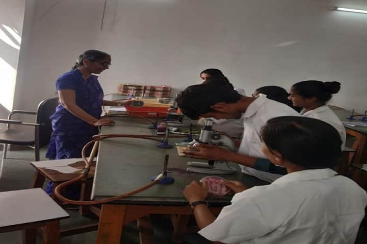 Dr APJ Abdul Kalam Government College campus in Silvassa, Dadra and Nagar Haveli, India — photo 2