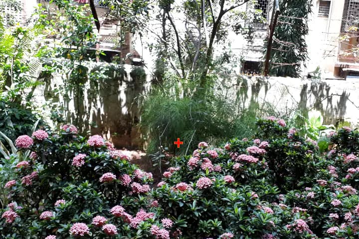 Shailendra Education Society's Arts campus in Mumbai, Maharashtra, India — photo 3