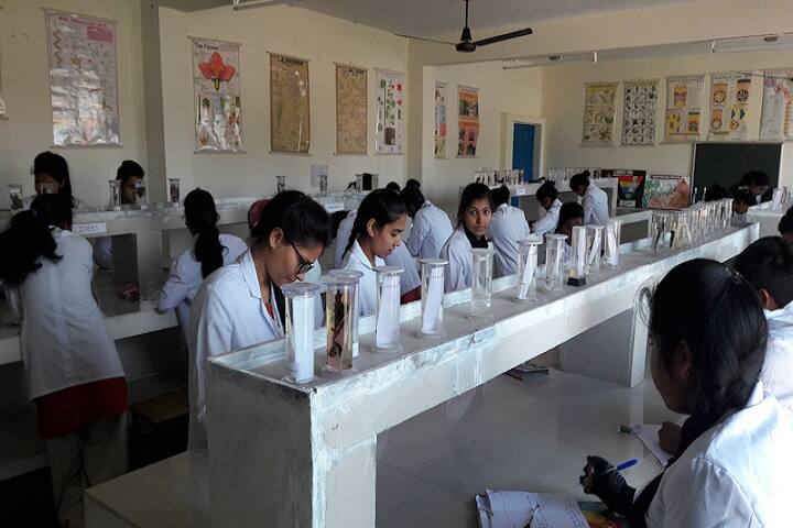 Modern Institute of Technology campus in Rishikesh, Uttarakhand, India — photo 2