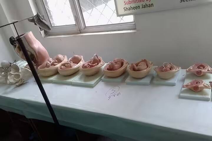 Mother Teresa Institute of Paramedical Science campus in Rampur, Uttar Pradesh, India — photo 5