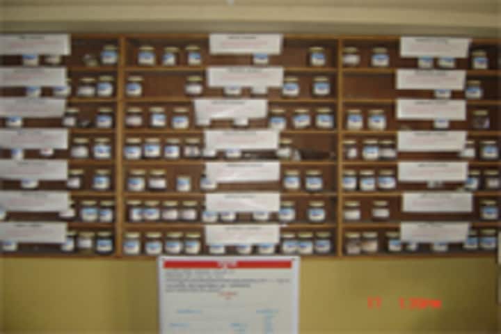 Siddhakala Ayurvedic College campus in Sangamner, Maharashtra, India — photo 4
