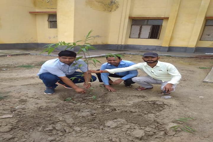 Mahamaya Institute of Information Technology campus in Auraiya, Uttar Pradesh, India — photo 3
