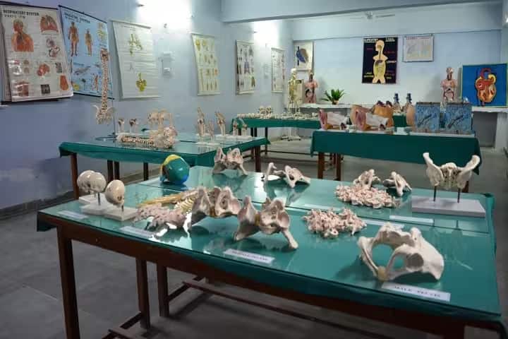 Narayan Nursing College campus in Jamuhar, Bihar, India — photo 4