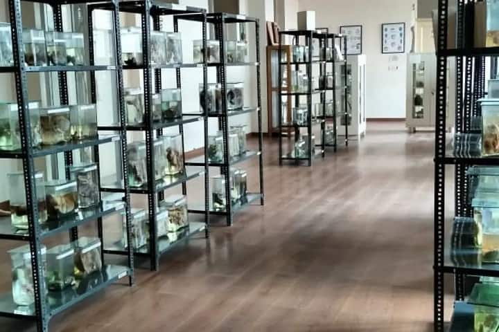 Chintpurni Institute of Nursing campus in Bungal, Punjab, India — photo 3