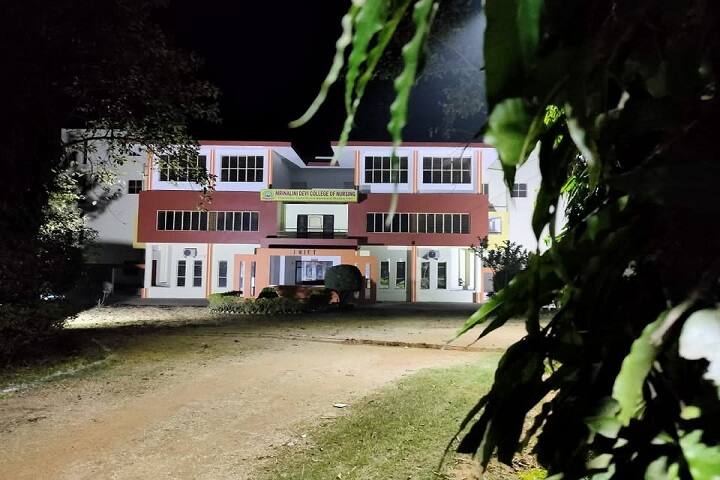 Mrinalini Devi College of Nursing campus in Birbhum, West Bengal, India — photo 3