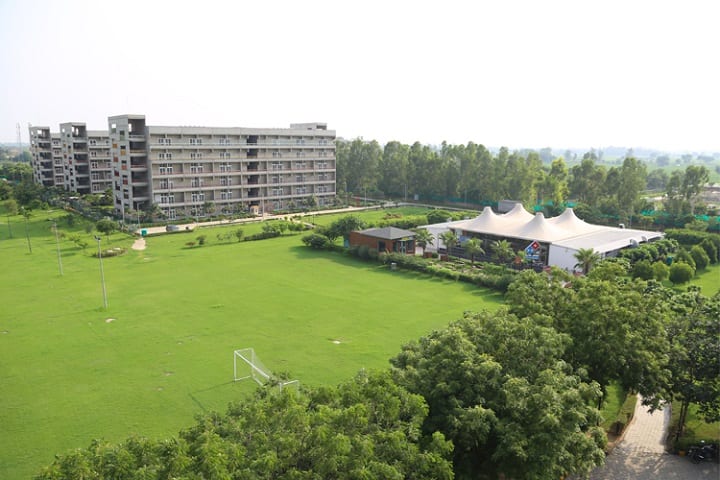 Jindal School of Public Health and Human Development campus in Sonipat, Haryana, India — photo 1