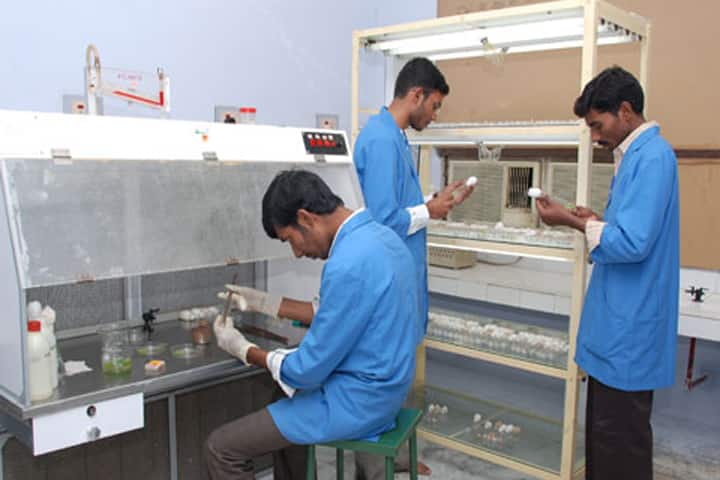 Kurinji College of Arts and Science campus in Tiruchirappalli, Tamil Nadu, India — photo 5