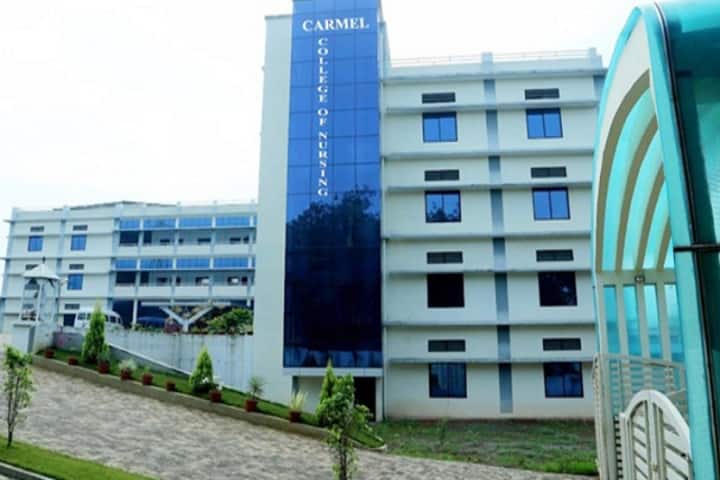 Carmel College of Nursing campus in Aluva, Kerala, India — photo 1