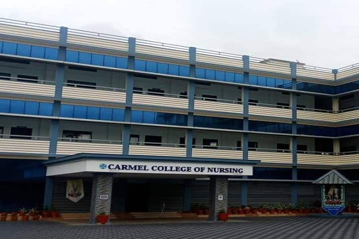 Carmel College of Nursing campus in Aluva, Kerala, India — photo 2