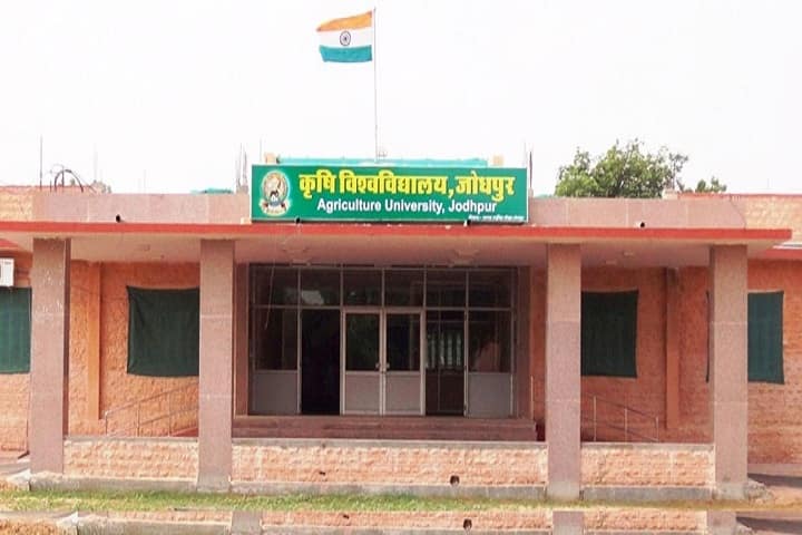 Agriculture University campus in Jodhpur, Rajasthan, India — photo 2