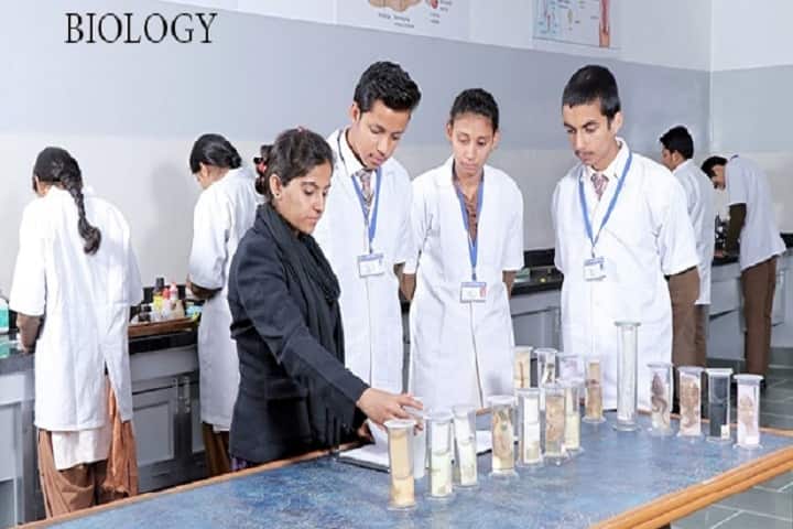 Saraswati Shikshan Sadan PG College campus in Sri Ganganagar, Rajasthan, India — photo 5