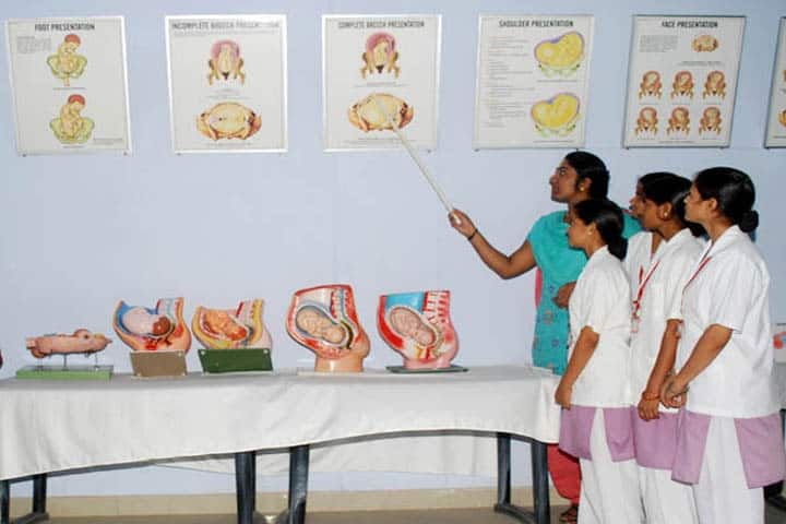 Bora Institute of Allied Health Sciences campus in Lucknow, Uttar Pradesh, India — photo 5