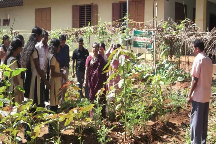 Government Women's Polytechnic College campus in Kozhikode, Kerala, India — photo 4