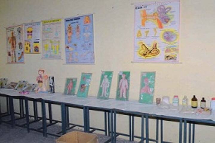 Smt Dhapudevi Memorial Mahavidyalaya campus in Barmer, Rajasthan, India — photo 4