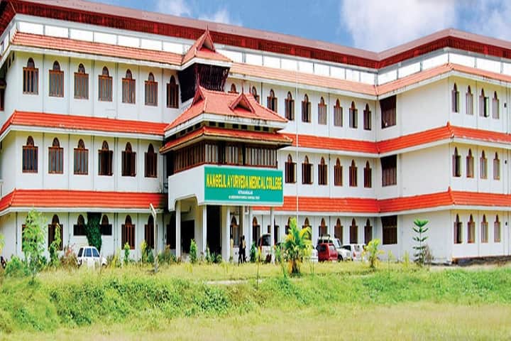Nangelil Ayurveda Medical College campus in Ernakulam, Kerala, India — photo 1