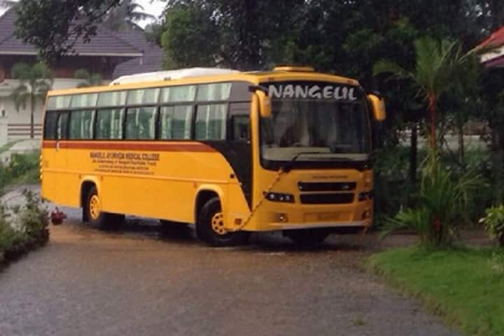 Nangelil Ayurveda Medical College campus in Ernakulam, Kerala, India — photo 3