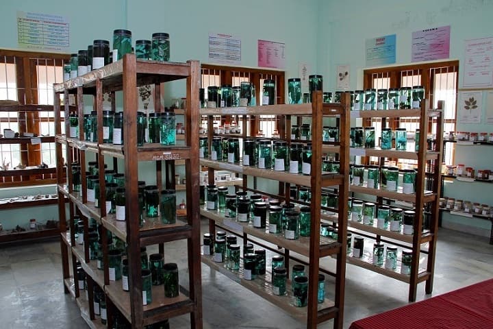Mannam Ayurveda Co-Operative Medical College campus in Pandalam, Kerala, India — photo 3