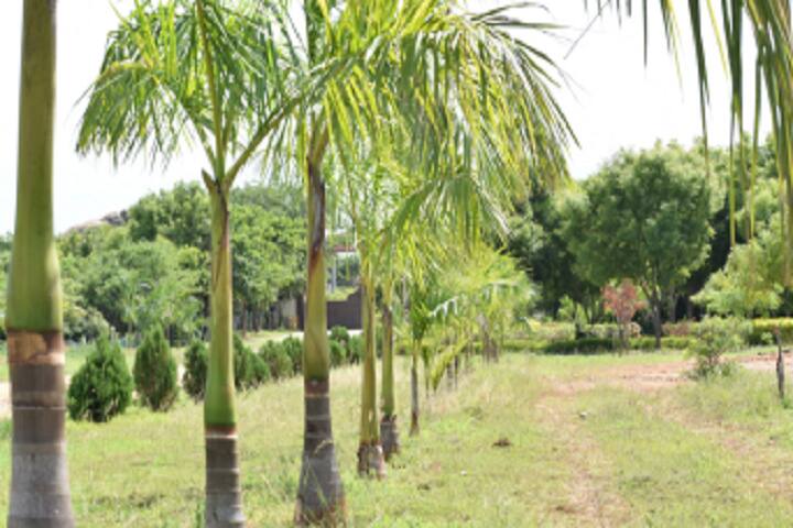 Loyola College campus in Vettavalam, Tamil Nadu, India — photo 3