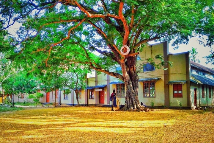 Sree Narayana College campus in Kollam, Kerala, India — photo 2