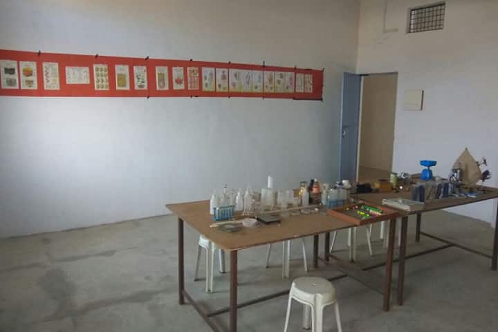 SS College of Computers and Professional Studies campus in Chhindwara, Madhya Pradesh, India — photo 6