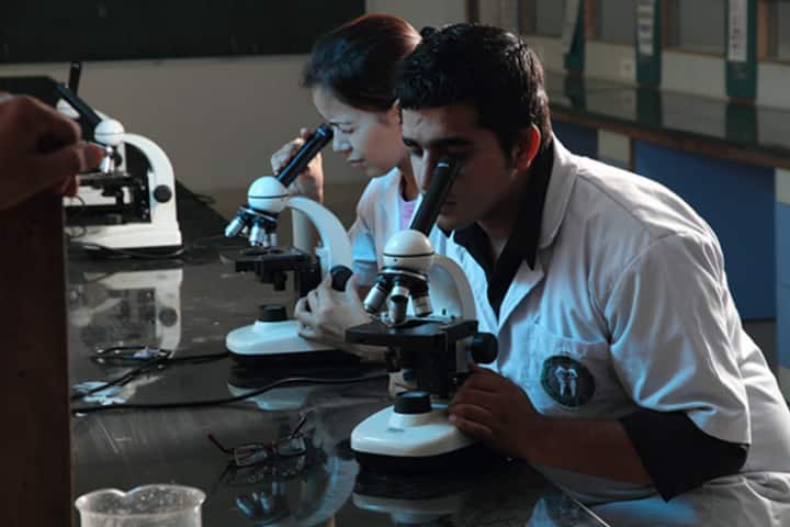 Faculty of Dental Sciences campus in Bahadurgarh, Haryana, India — photo 6