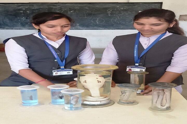Viswam Degree and PG College campus in Madanapalle, Andhra Pradesh, India — photo 4