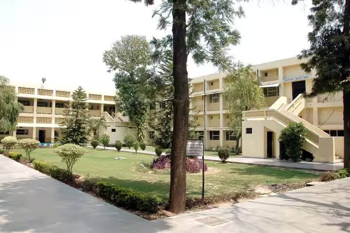 Patel Institute of Management and Technology campus in Rajpura, Punjab, India — photo 1