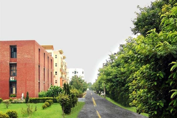 Divya Jyoti College of Engineering and Technology campus in Modinagar, Uttar Pradesh, India — photo 1