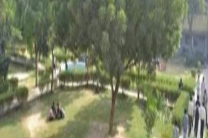Swargiya Pandit Nawal Kishore Sharma Government PG College campus in Dausa, Rajasthan, India — photo 4