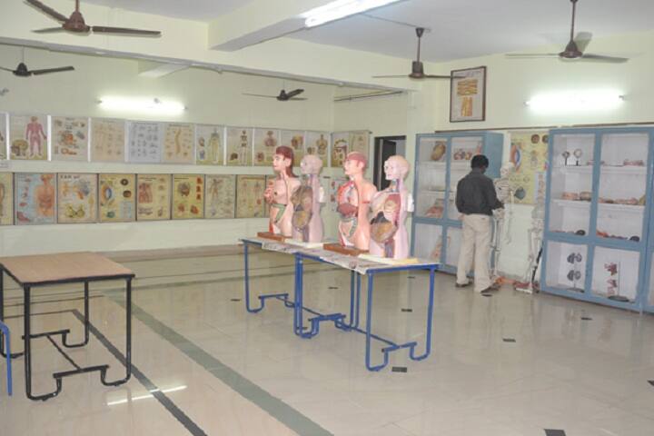 Sai College of Elementary Teacher Education campus in Rajahmundry, Andhra Pradesh, India — photo 4